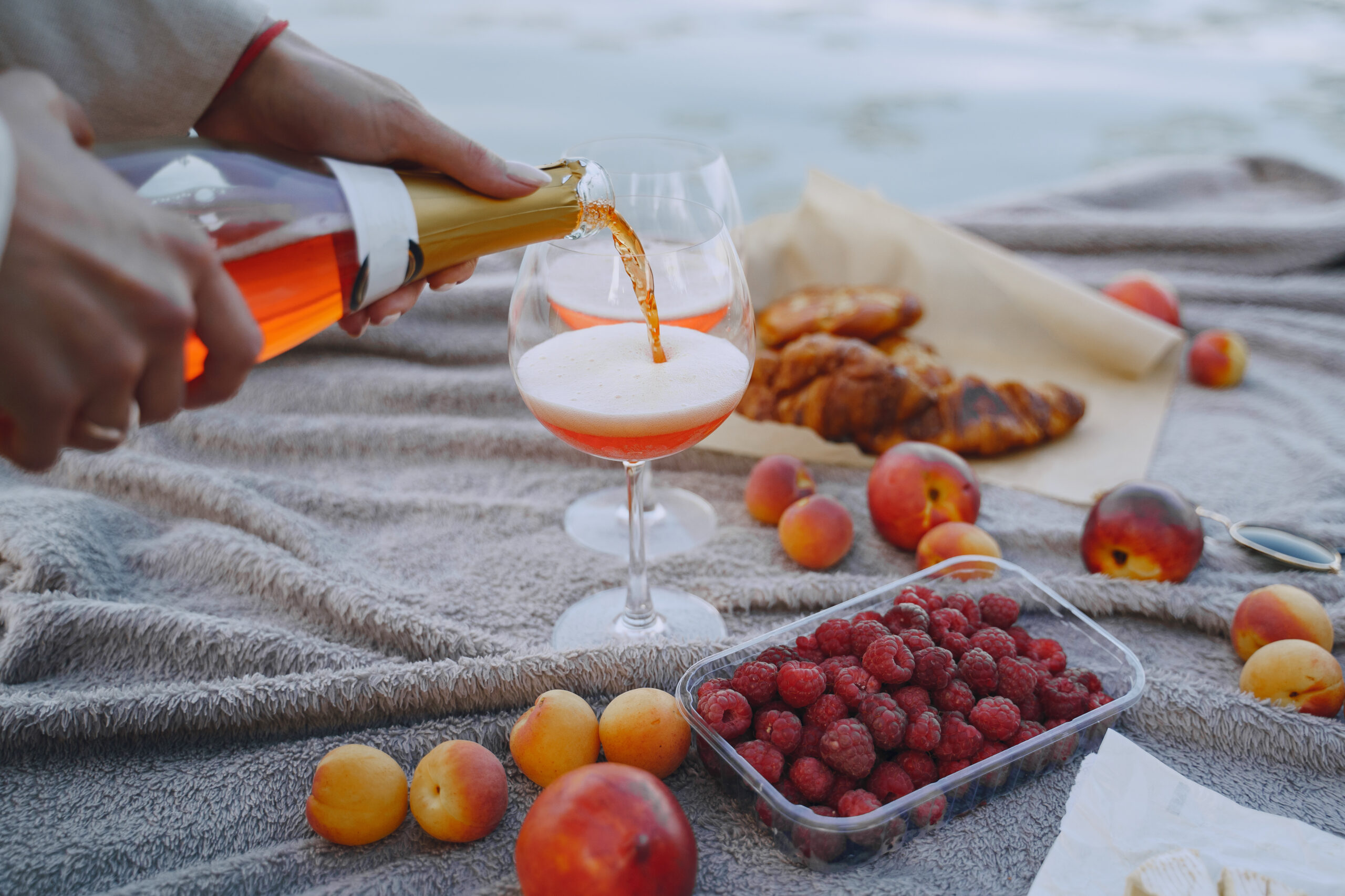 Picnic set with fruit and cheese and wine on a blanket