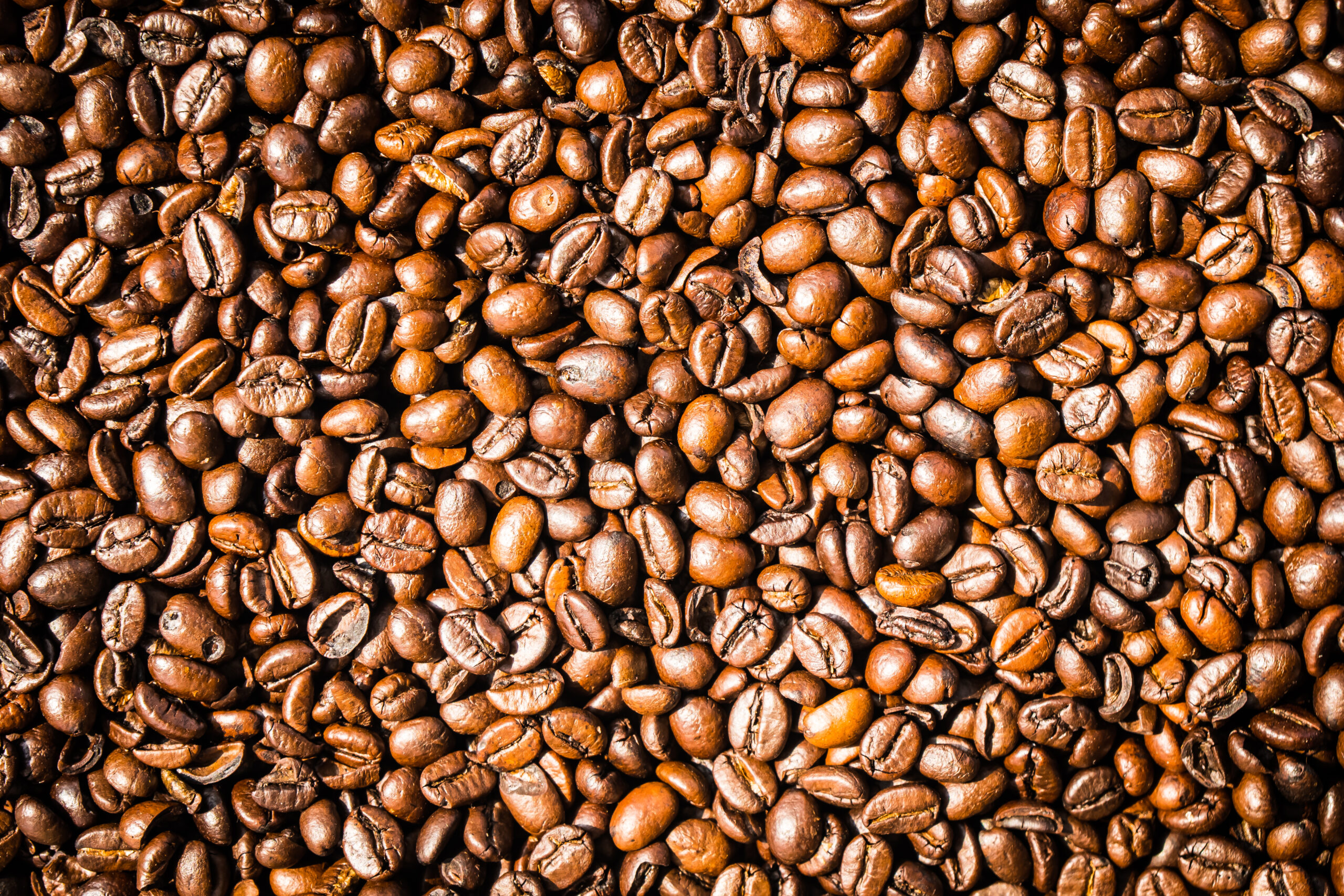 Descubra o Clube do Café: sabores e experiências exclusivas para clientes Bigmais Você 1 Brown coffee beans and seed