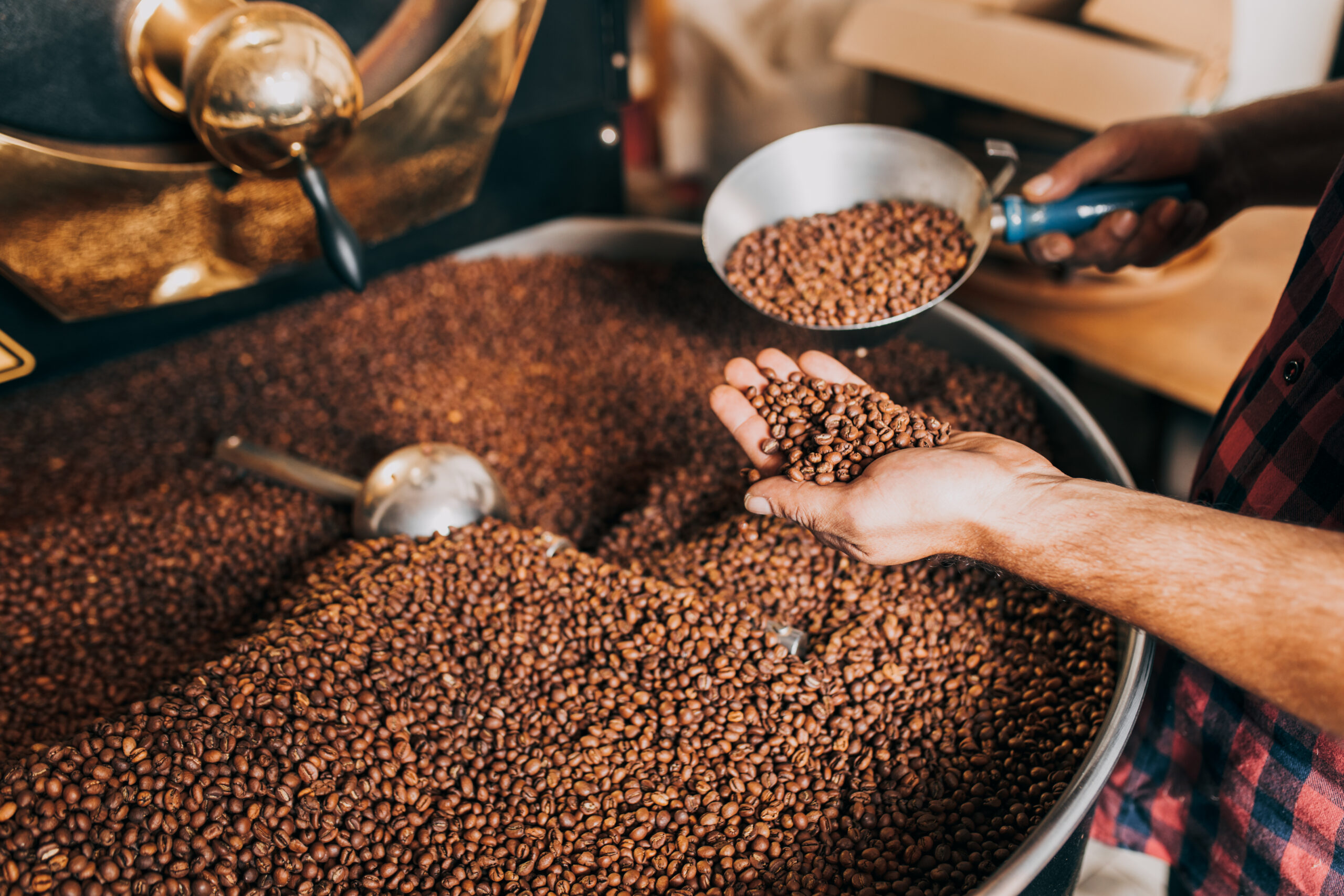 Man’s hands holding freshly roasted aromatic coffee beans over a