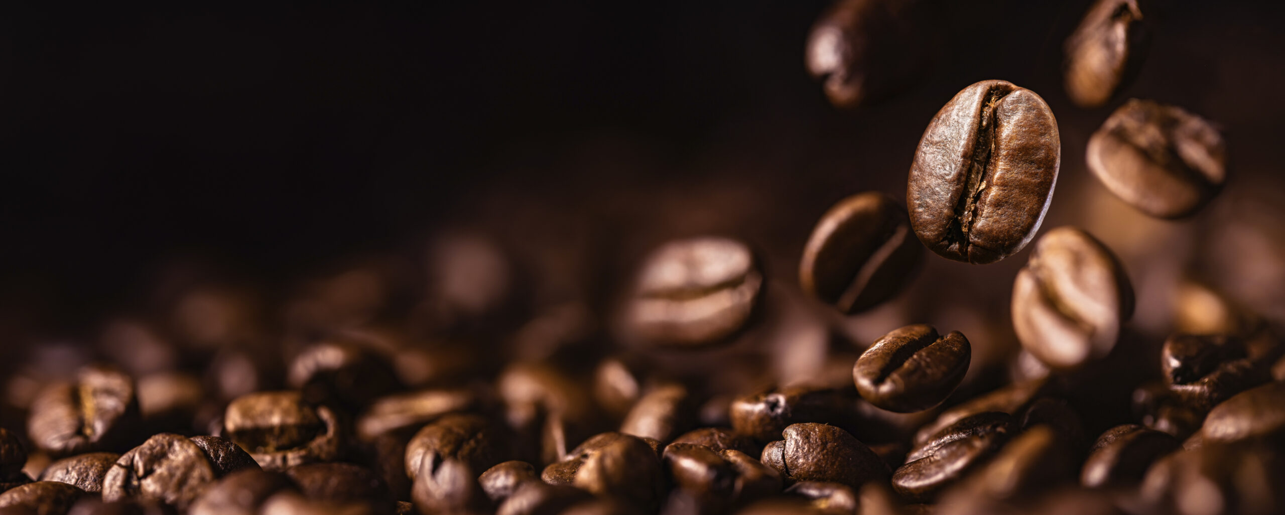 Seu café favorito está de cara nova