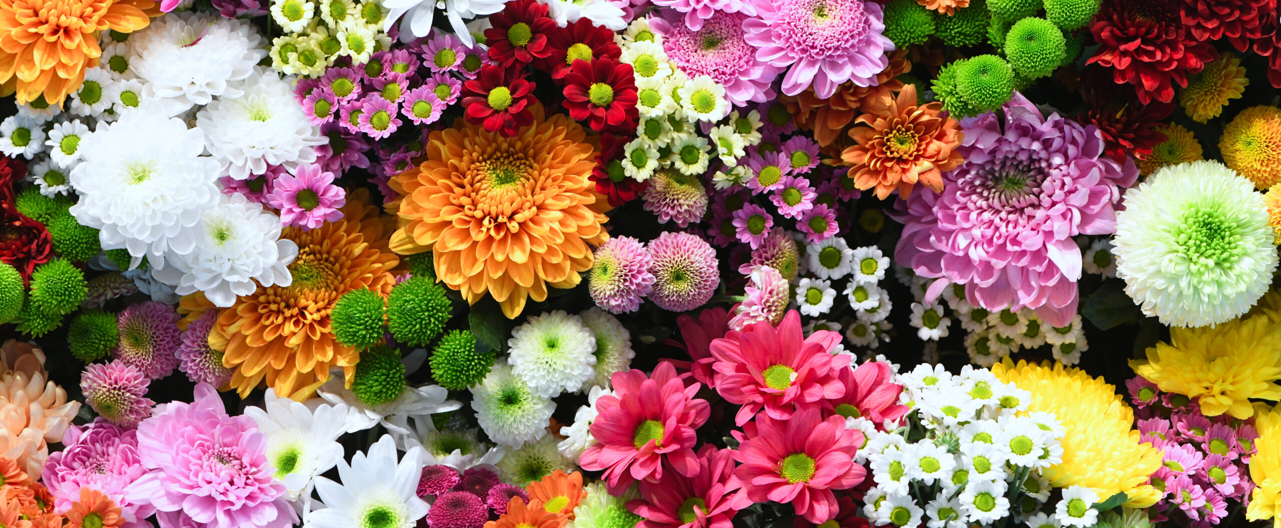Para cada amor, uma flor: encontre o presente perfeito neste guia