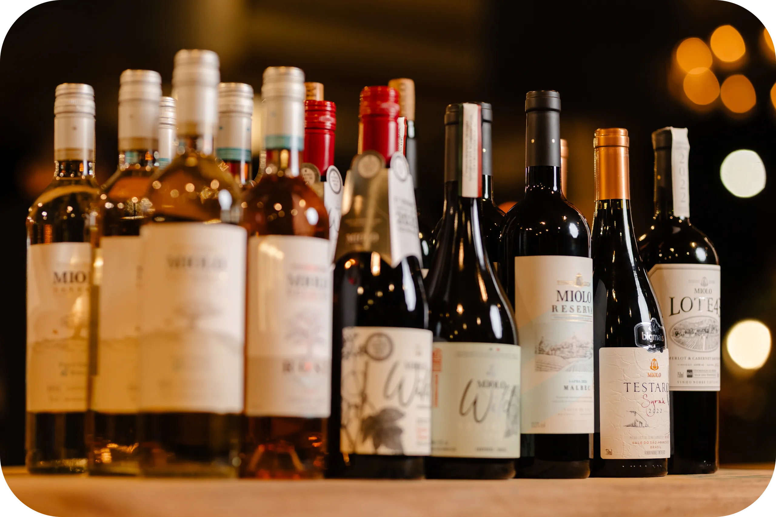 Mostra de Vinhos Bigmais 2025 33 modified