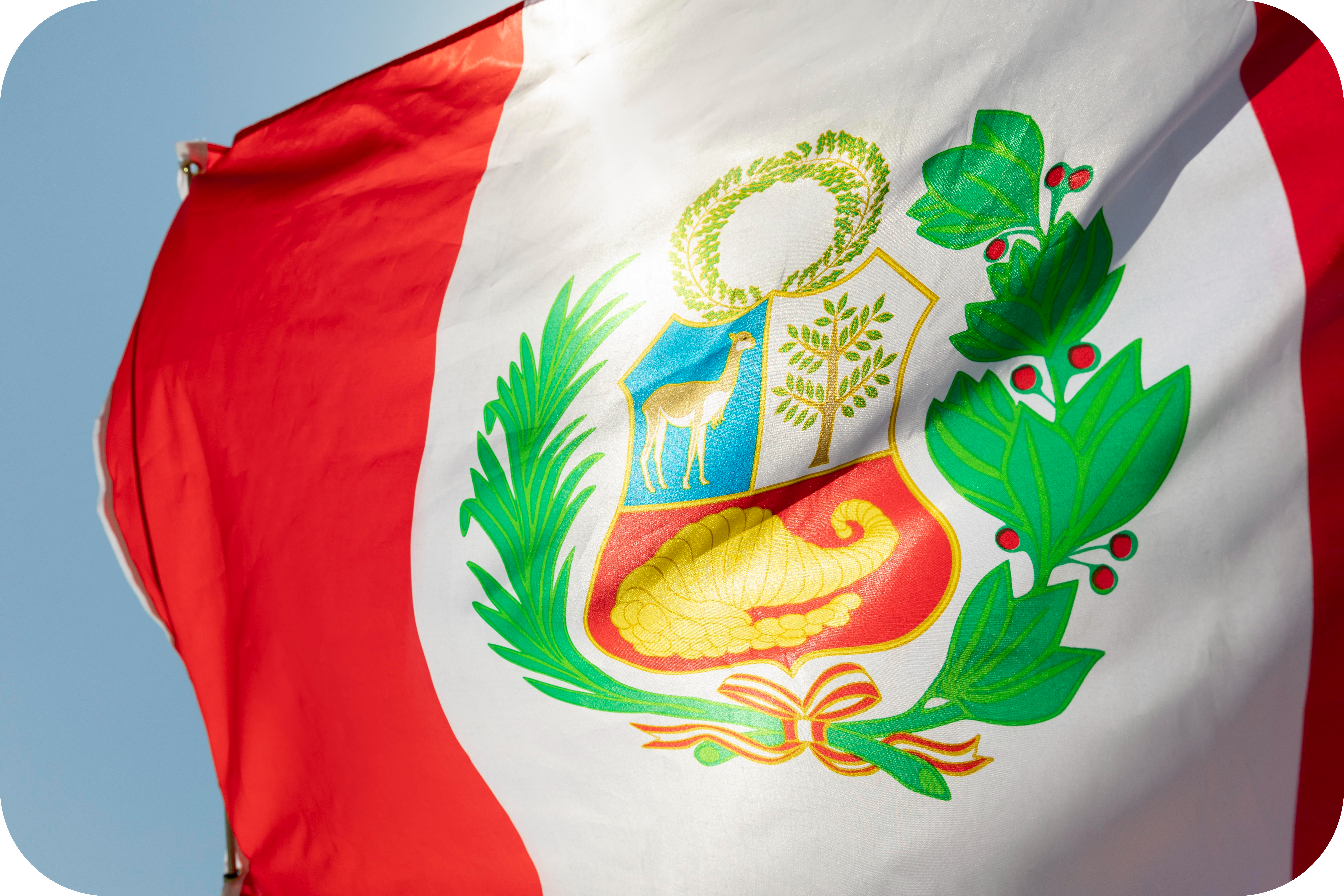 Ceviche: o sabor que virou patrimônio 2 national peru flag wind modified