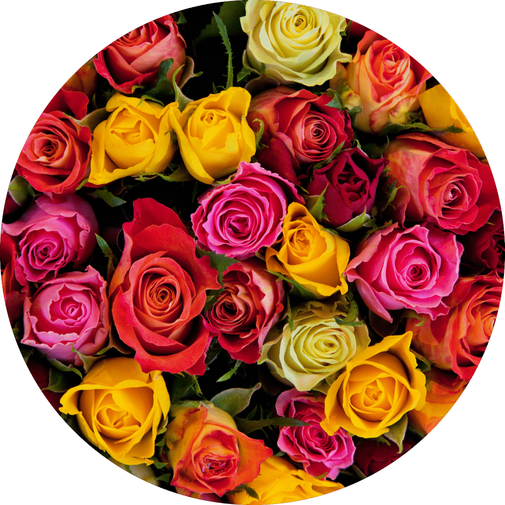 Para cada amor, uma flor: encontre o presente perfeito neste guia 1 oi modified