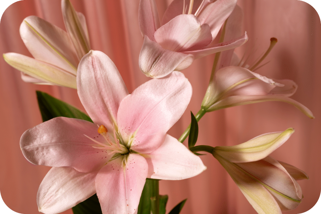 Ideias de flores para decorar a casa 5 natureza morta com arranjo de flores modified 1