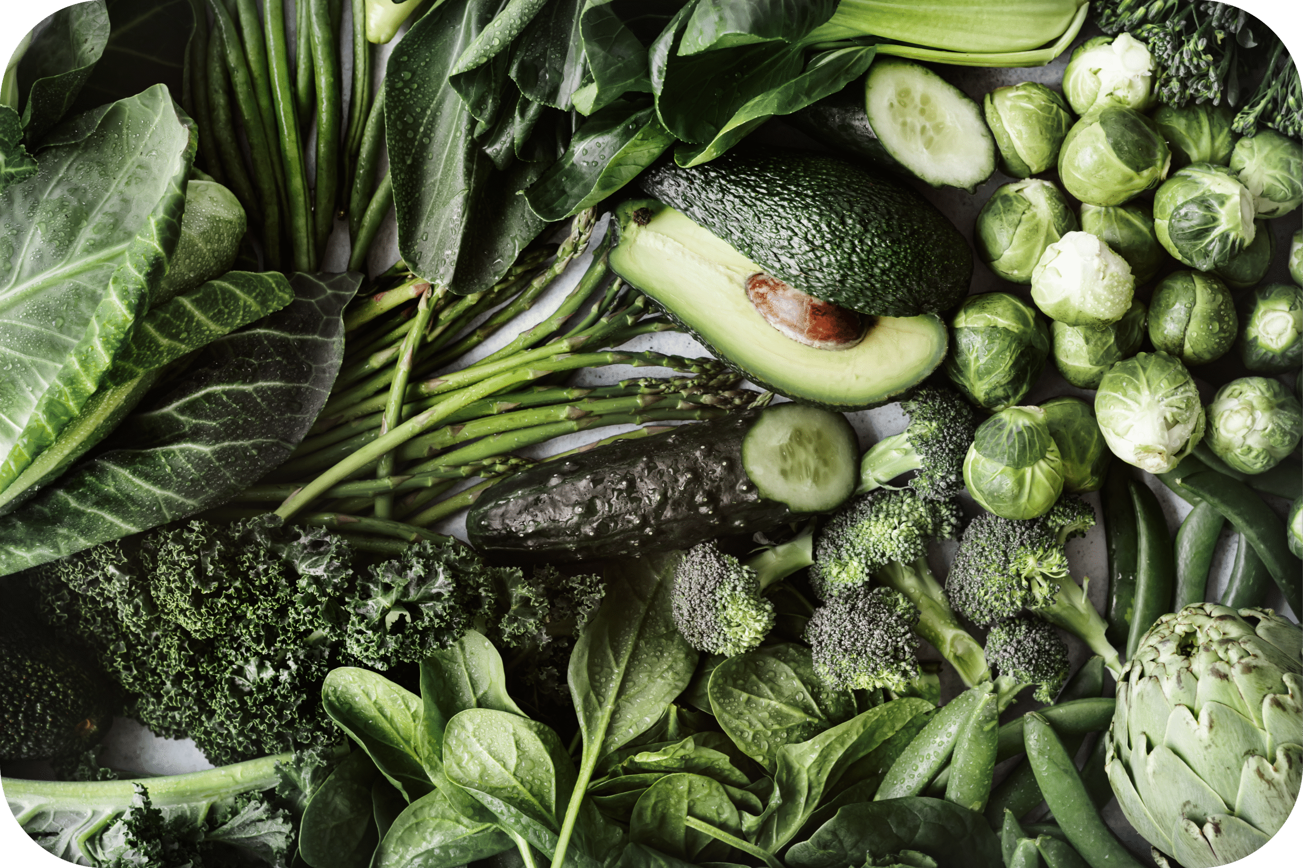 Dia Mundial do Veganismo